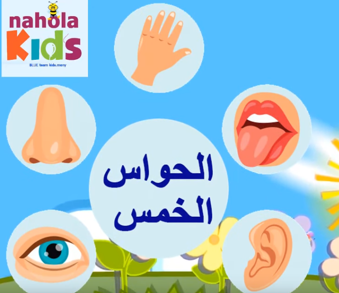 تعلم الحواس الخمس